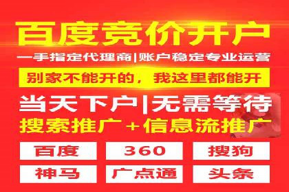 竞价推广公司的策略布局：某行业领导品牌的成功案例